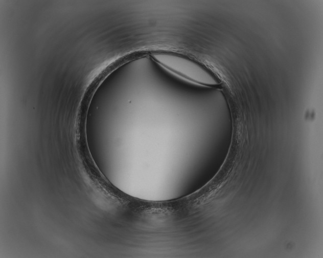 X0000090470536200708031307