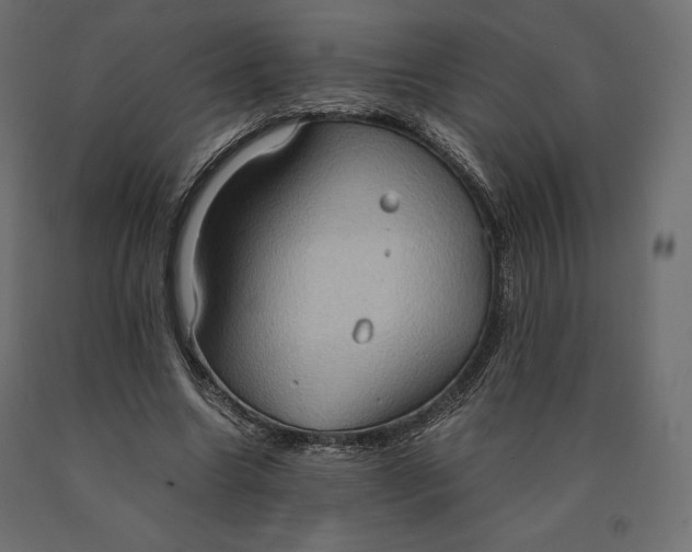 X0000090470538200708031307