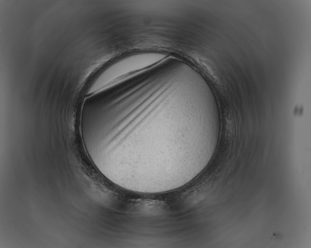 X0000090470539200708031307