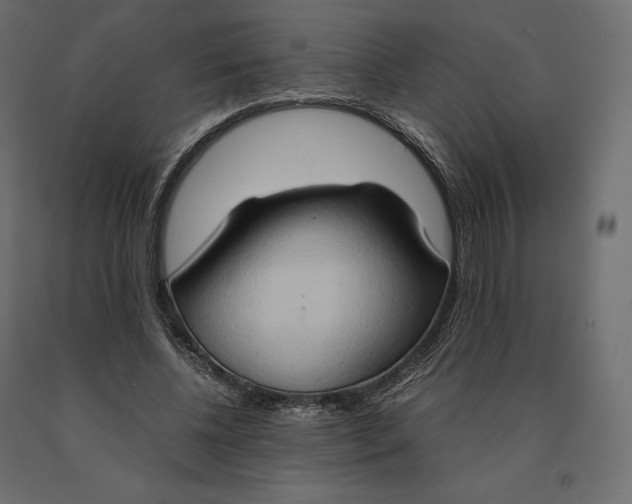 X0000090470540200708031307