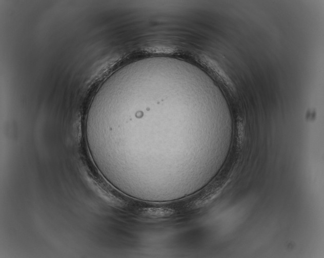 X0000090470541200708031307