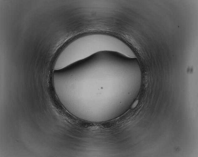 X0000090470544200708031307