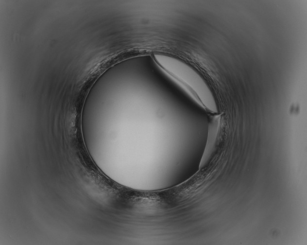 X0000090470548200708031307