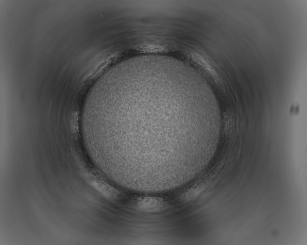 X0000090470549200708031307