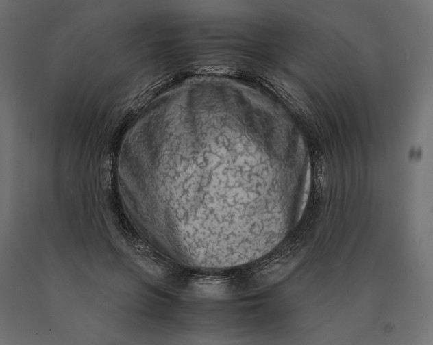 X0000090470551200708031307