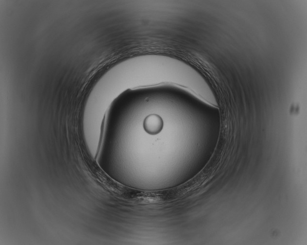 X0000090470552200708031307