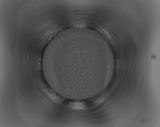 X0000090470553200708031307