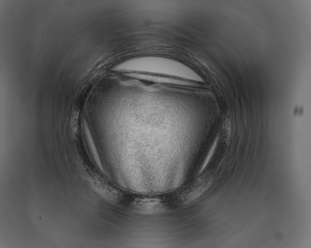 X0000090470554200708031307