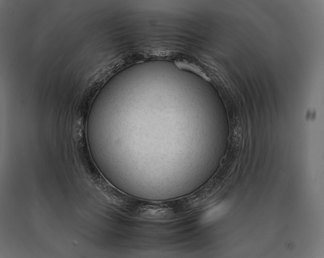 X0000090470555200708031307