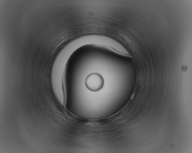 X0000090470556200708031307