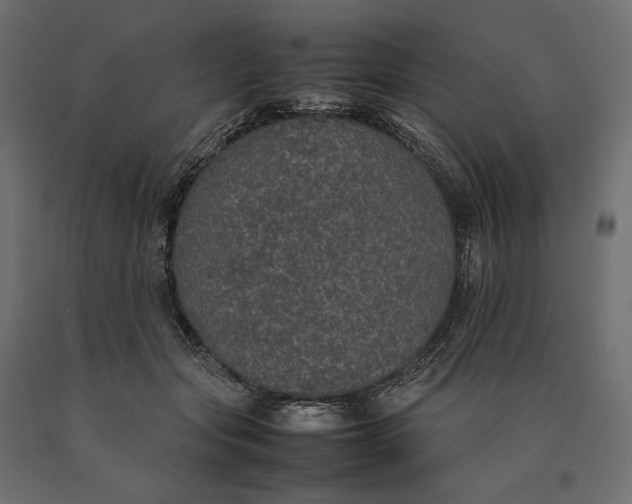 X0000090470557200708031307