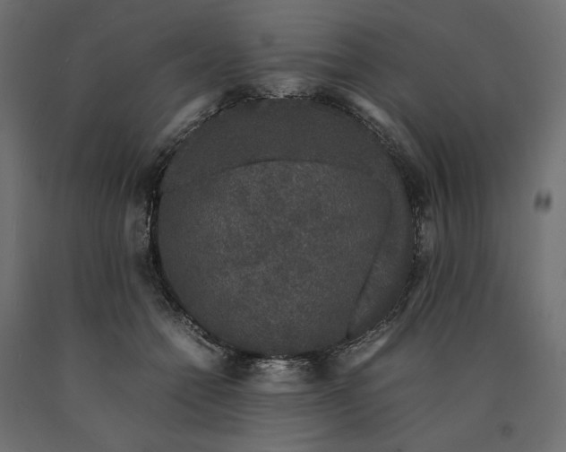 X0000090470558200708031307