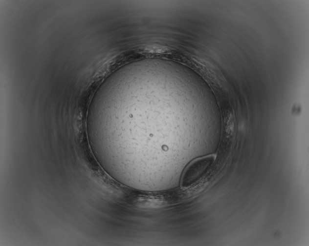 X0000090470559200708031307