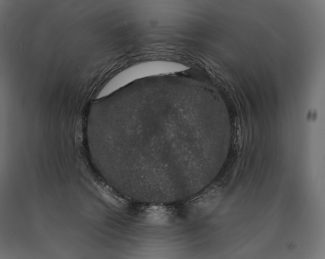 X0000090470562200708031307