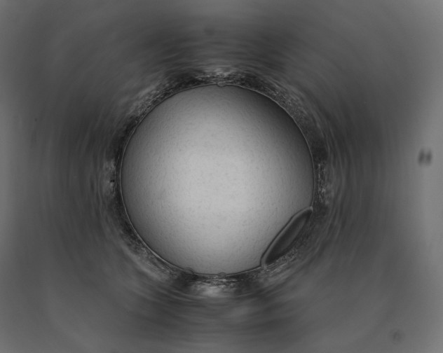 X0000090470563200708031307