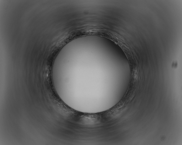 X0000090470567200708031307