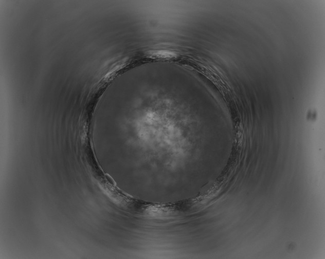 X0000090470568200708031307