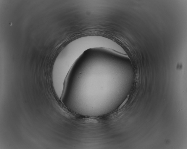 X0000090470572200708031307