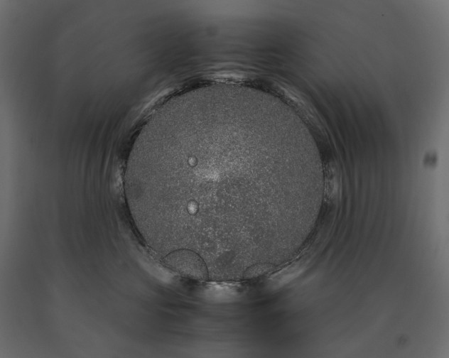 X0000090470573200708031307