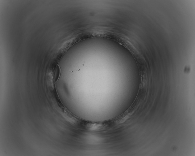 X0000090470575200708031307