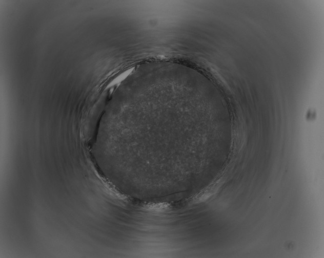 X0000090470576200708031307