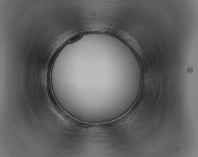 X0000090470578200708031307