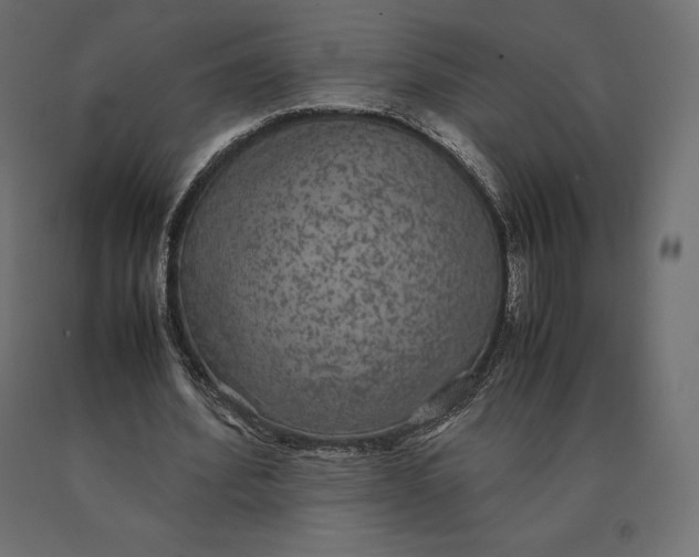 X0000090470580200708031307