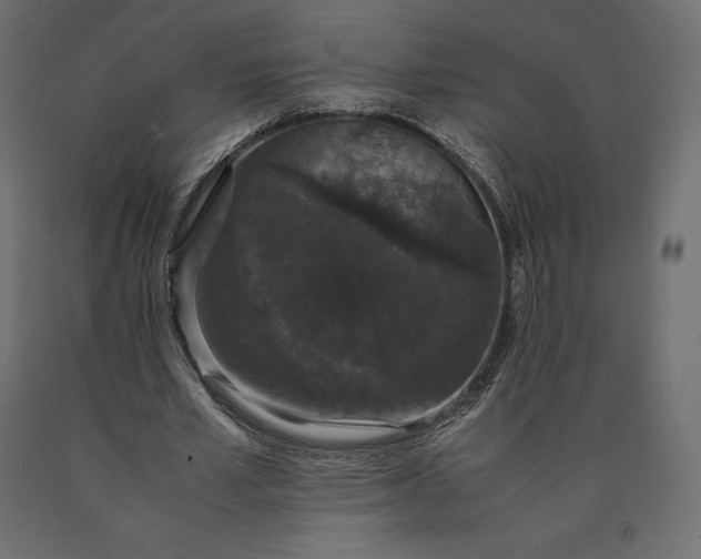 X0000090470581200708031307