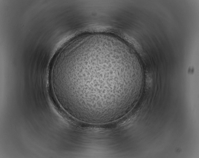 X0000090470582200708031307