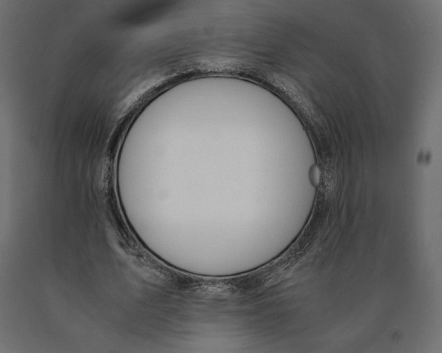 X0000090470583200708031307