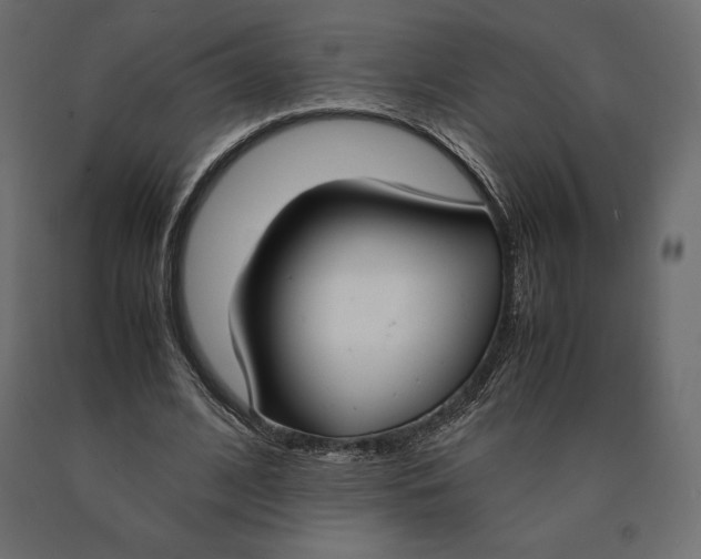 X0000090470584200708031307