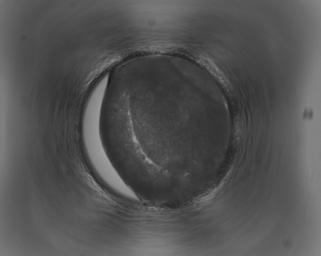 X0000090470585200708031307