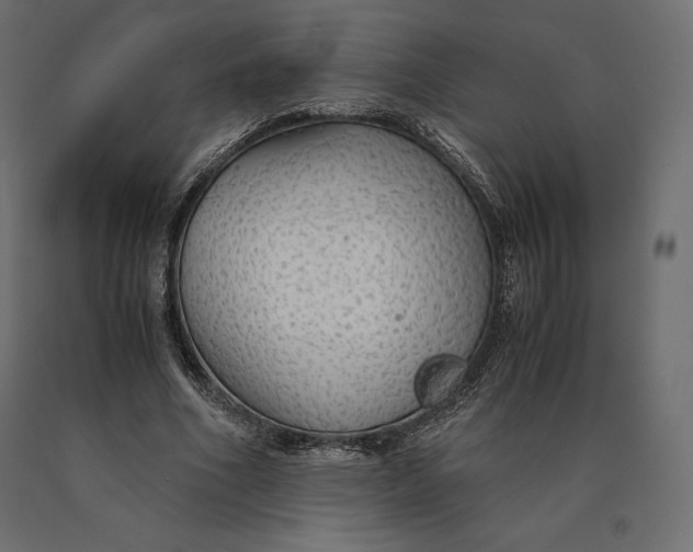 X0000090470586200708031307