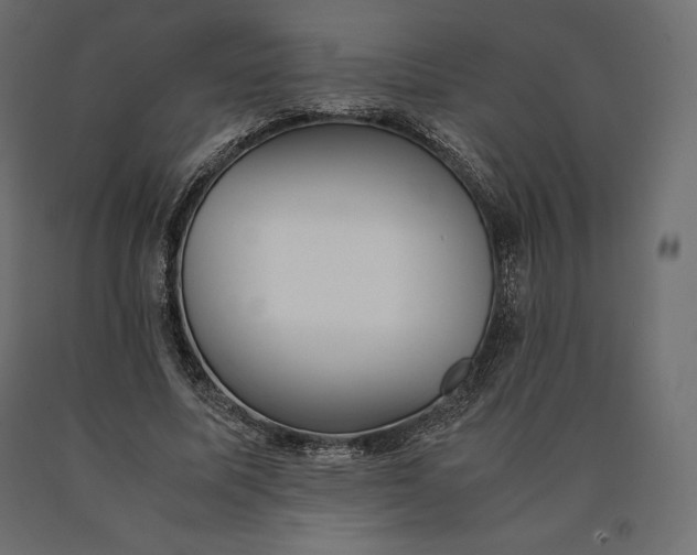 X0000090470587200708031307