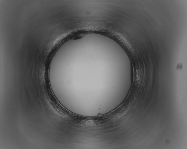 X0000090470588200708031307