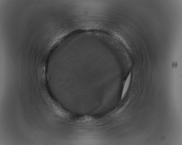 X0000090470589200708031307