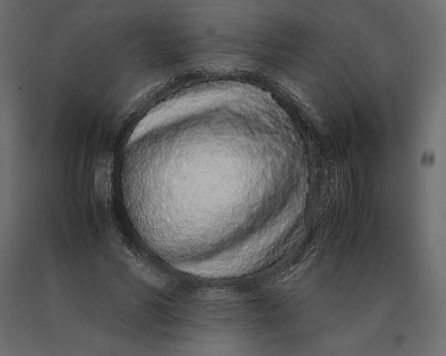 X0000090470590200708031307