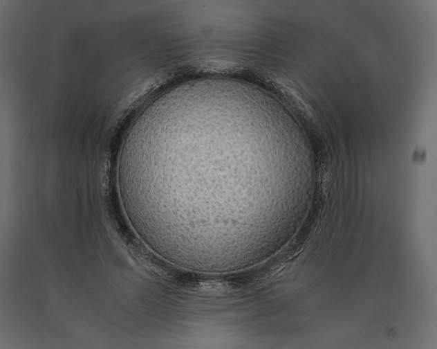 X0000090470591200708031306