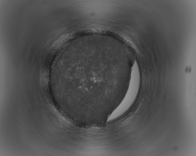 X0000090470593200708031306