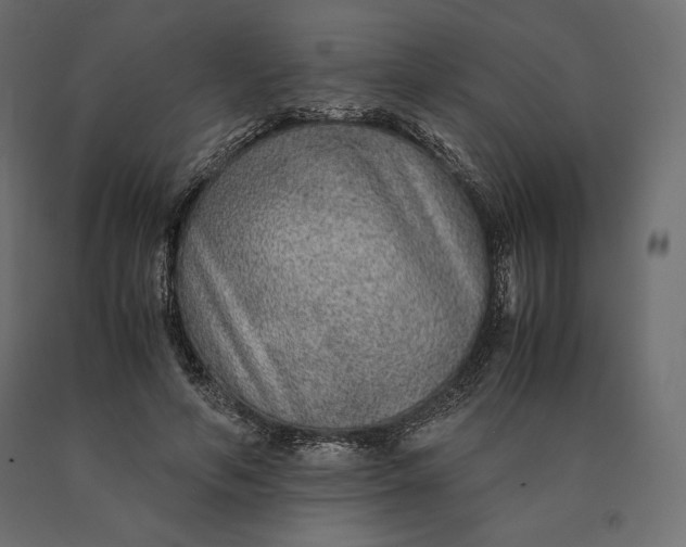 X0000090470594200708031306