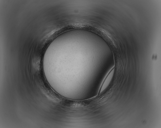 X0000090470596200708031306