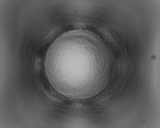 X0000090470598200708031306