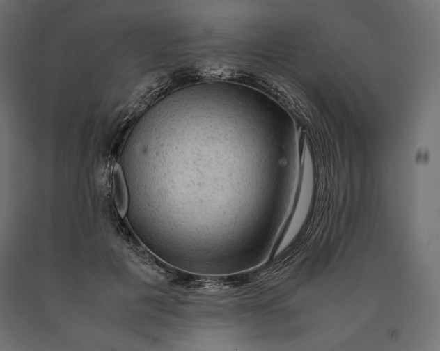 X0000090470601200708031306