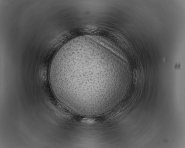 X0000090470602200708031306