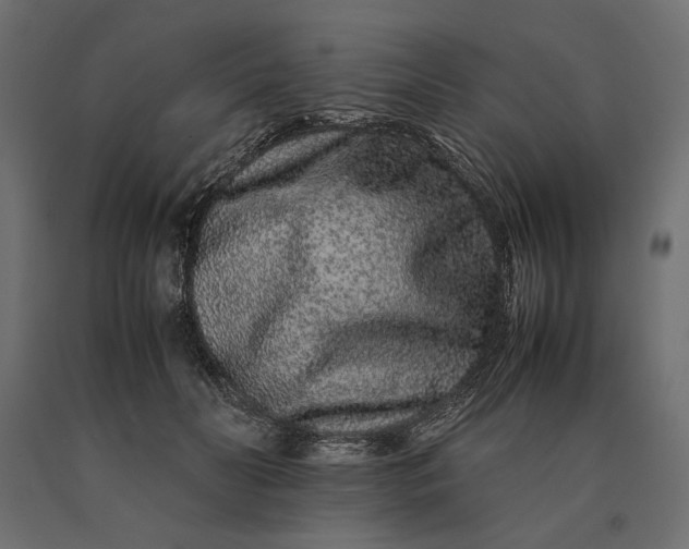 X0000090470606200708031306