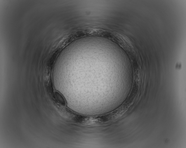 X0000090470607200708031306