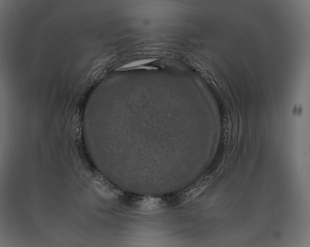 X0000090470609200708031306