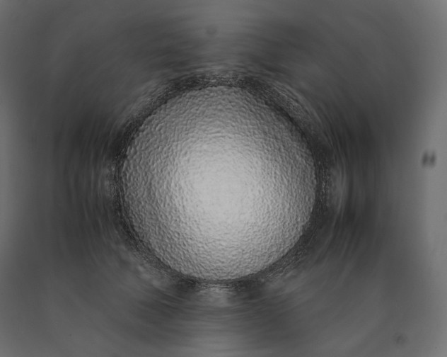 X0000090470610200708031306