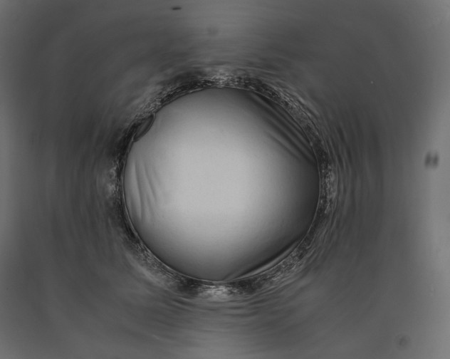 X0000090470611200708031306