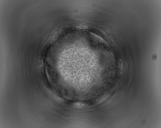 X0000090470614200708031306